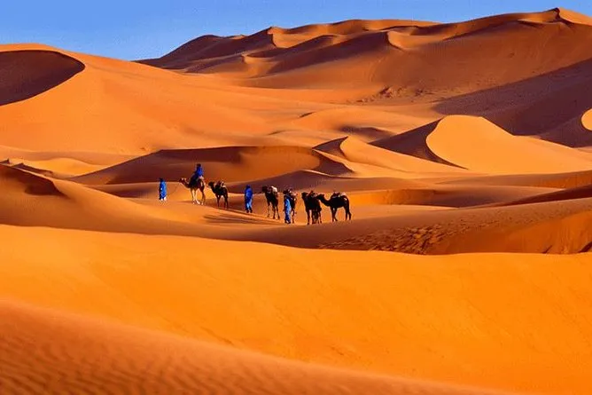 People walking through the desert with camels on the journey from Tangier to Merzouga.
Tangier to Merzouga