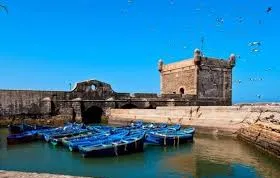 Blue boats docked in the harbor of a city, with the backdrop of Tangier to Essaouira along the coastline.
tangier to essaouira