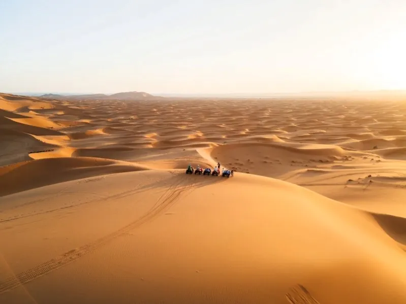 Students ride camels across the vast Sahara Desert during a trip to Morocco, surrounded by golden sand dunes.