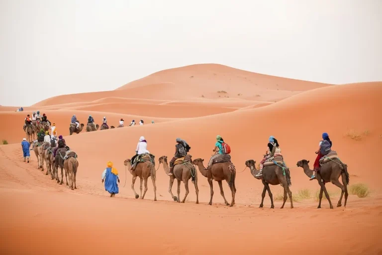 Students riding camels across the vast Sahara Desert during a trip to Morocco.