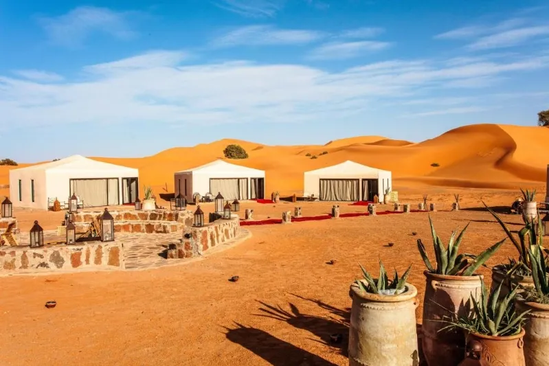A desert landscape in Morocco featuring numerous tents and scattered cacti under a clear blue sky.
