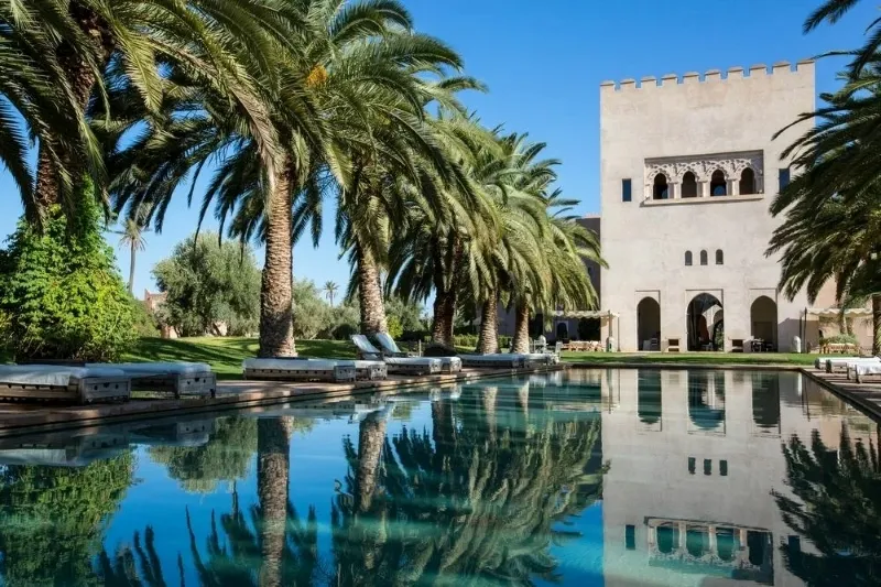 The villa's pool, surrounded by palm trees, offers a serene view of Todra Gorge's stunning landscape.