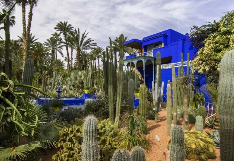 A vibrant blue house in Marrakech, Morocco, showcasing the city's unique architecture and charm.Between things to see in Marrakech

