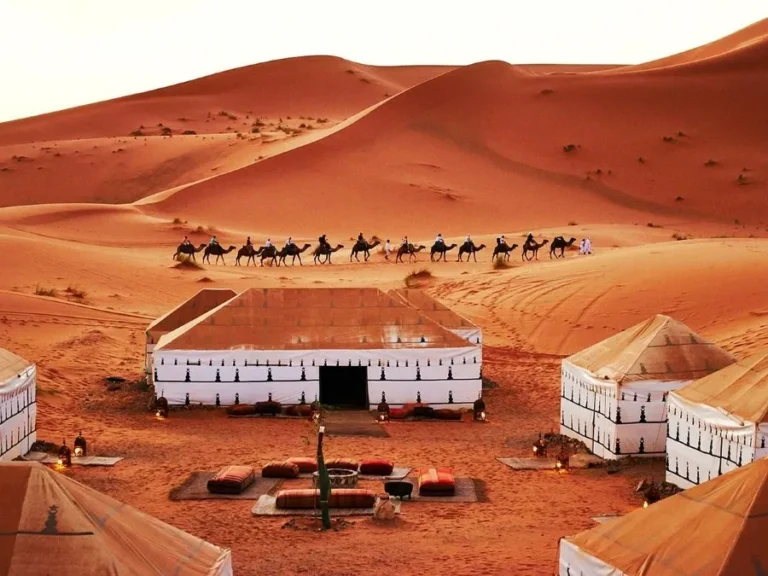 A group of tents in the Moroccan desert, surrounded by camels, showcasing a desert tour experience.