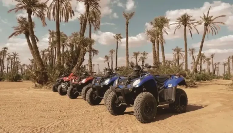 Four ATVs parked in the desert, surrounded by palm trees, showcasing the adventure offerings of Quad Marrakech.