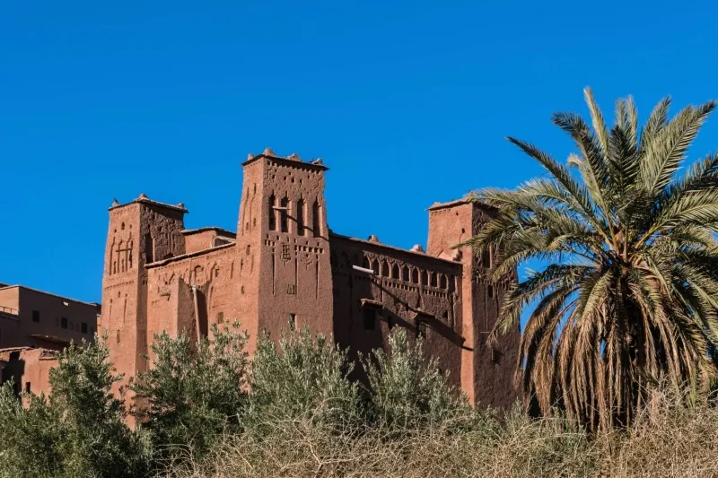 Red brick building surrounded by palm trees, titled "The Majesty of the Sahara."