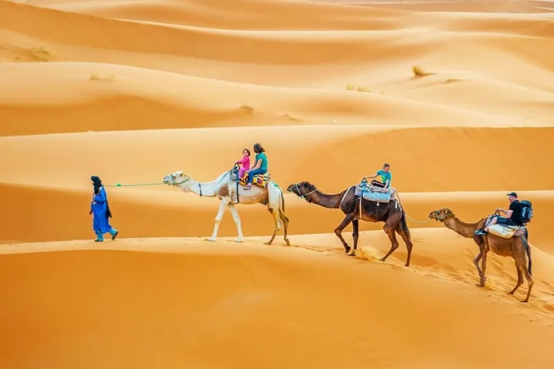 People riding camels across the vast, golden sands of the Sahara Desert, showcasing its majestic beauty.