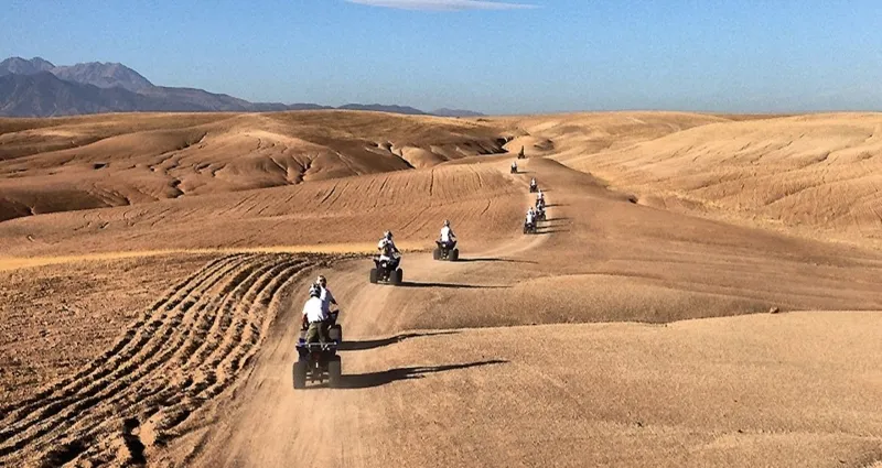 Several individuals navigating four wheelers across the sandy terrain of the desert in a Quad Marrakech experience.