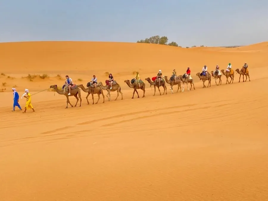 A group of tourists riding camels across the sandy landscape of the Marrakech desert during a guided tour.