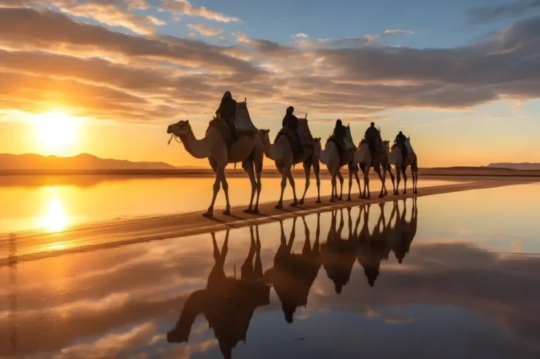 A group of camels walks through water at sunset, showcasing the beauty of Morocco's camel tours.