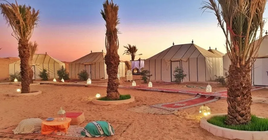 A desert camp featuring tents surrounded by palm trees, ideal for exploring Morocco's landscapes in spring or autumn.
