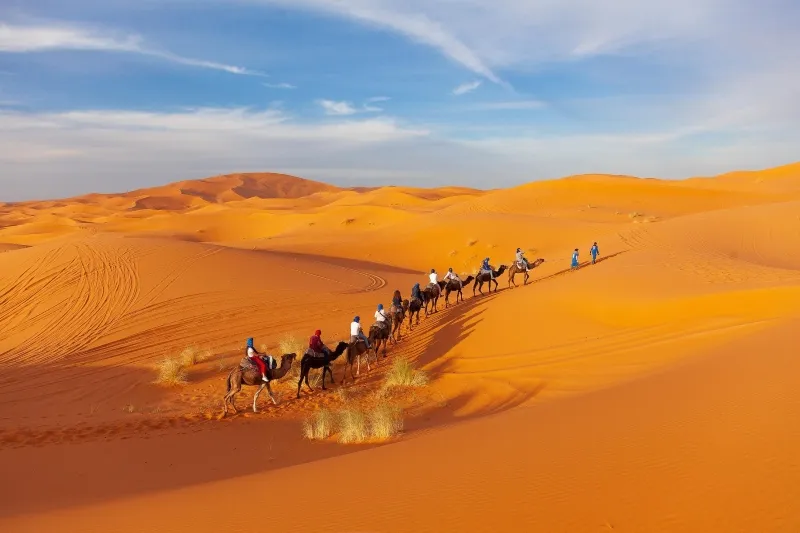A group of people riding camels across a vast desert landscape near the Ouzoud Cascades.
